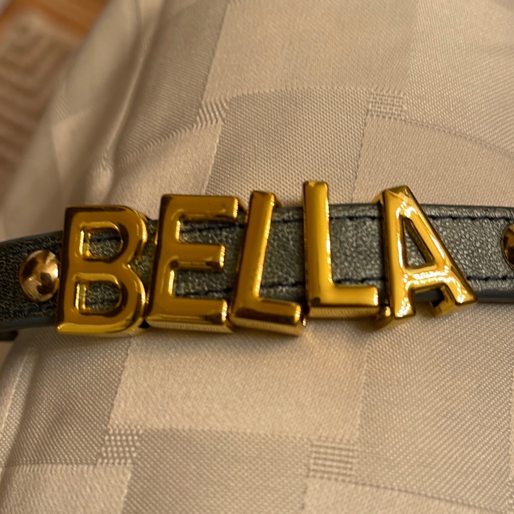 Bella metal gold tone and blue leather bracelet used BCBG generation